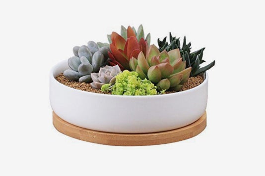 Binwen 6-inch Modern White Ceramic Planter Pot With Drainage Bamboo Tray.
